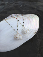 Luna Shell Necklace