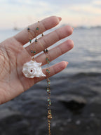 Luna Shell Necklace