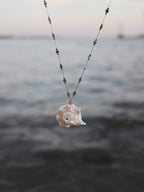 Luna Shell Necklace